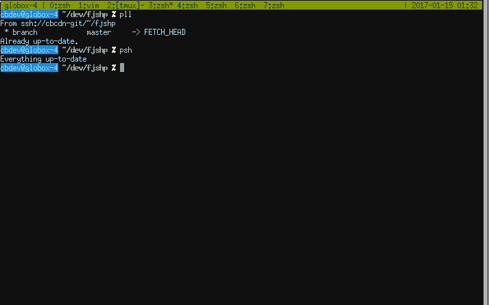 zsh within tmux within urxvt
